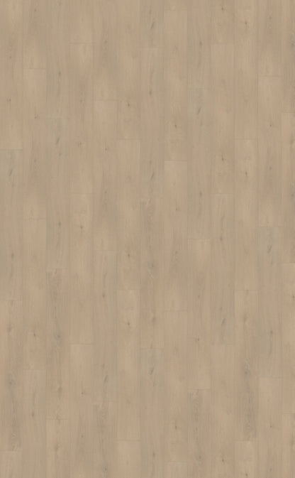 Palazzo 740 DRYBACK