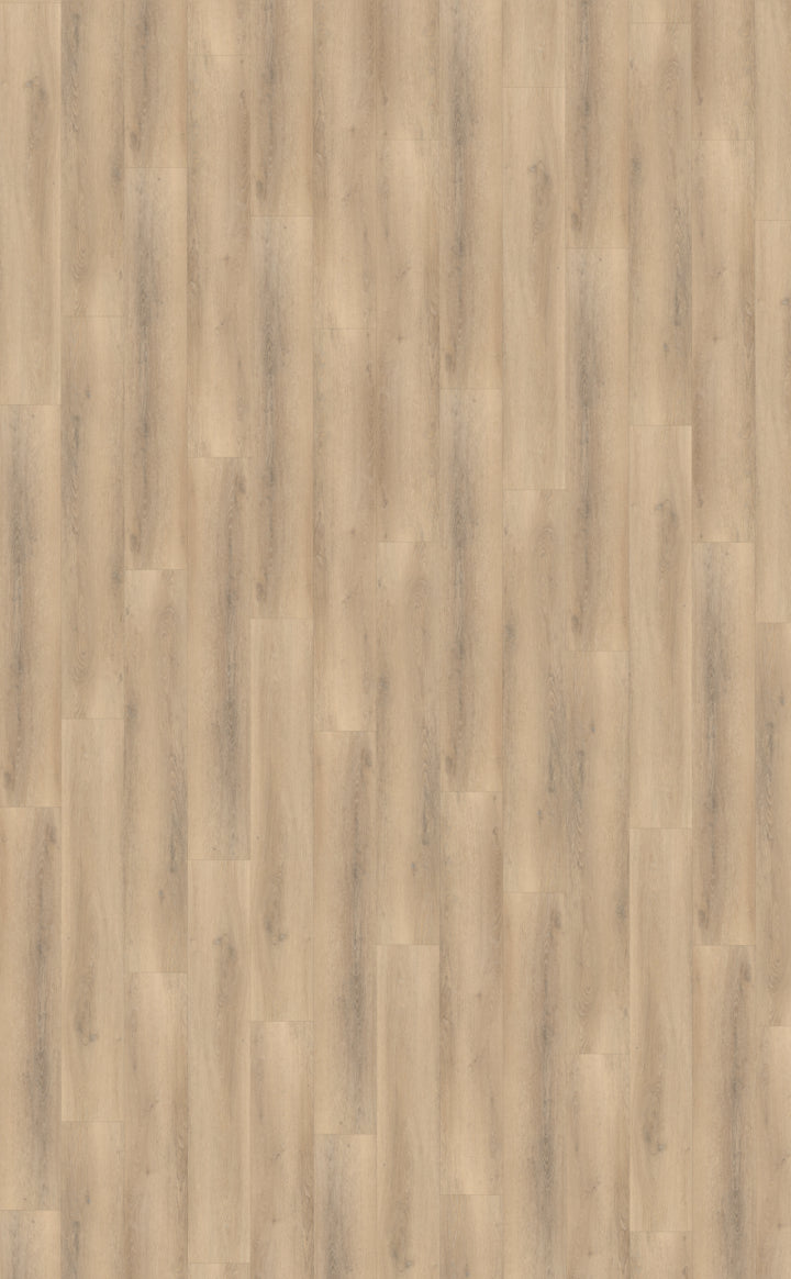 Palazzo 750 DRYBACK