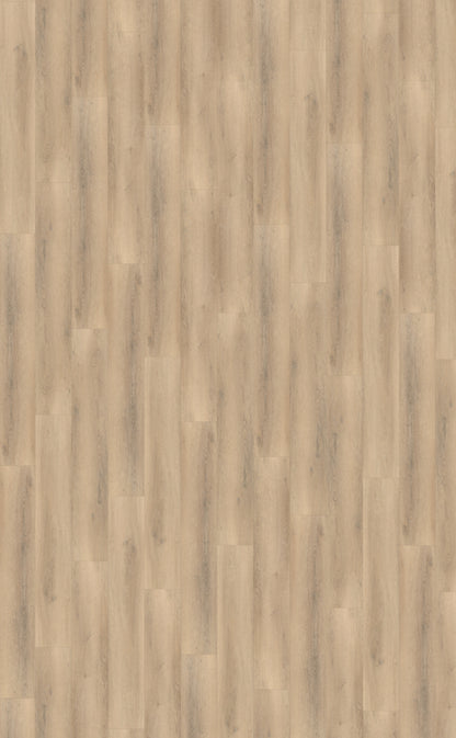 Palazzo 750 DRYBACK