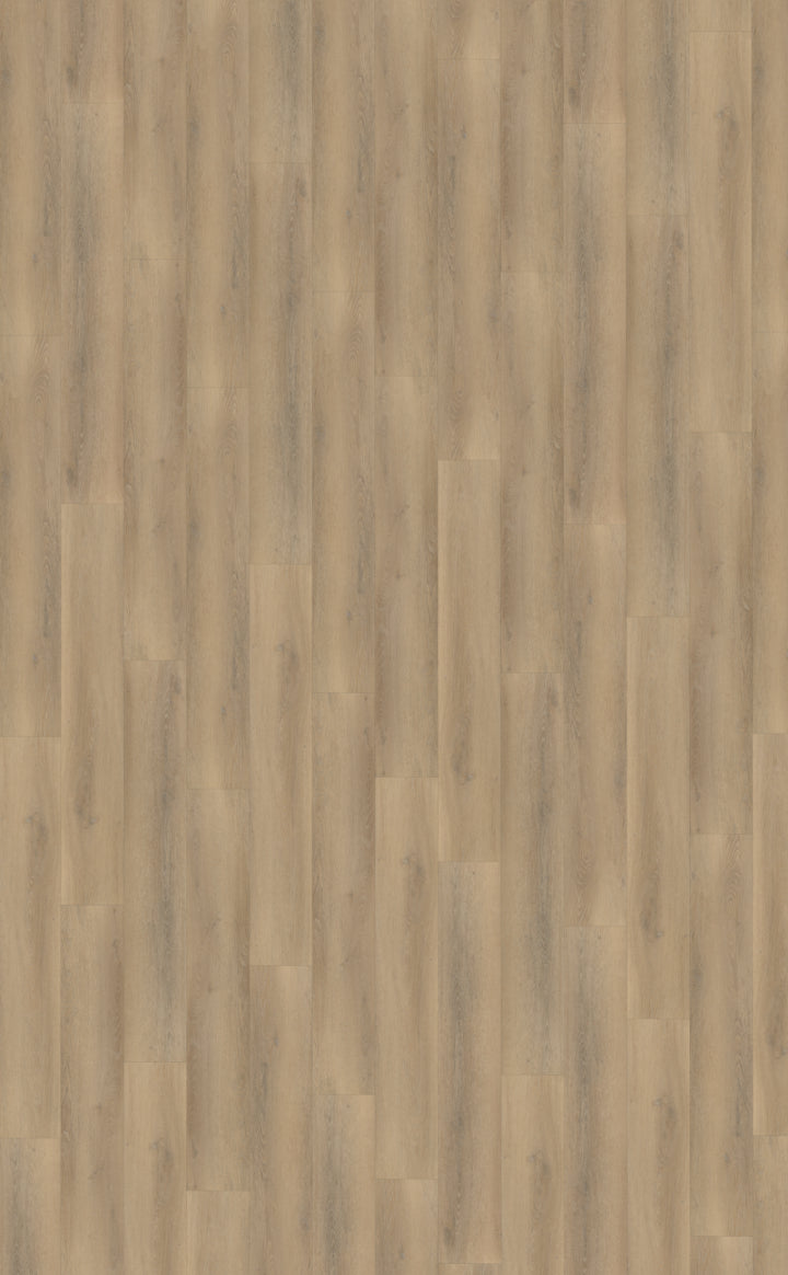 Palazzo 760 DRYBACK