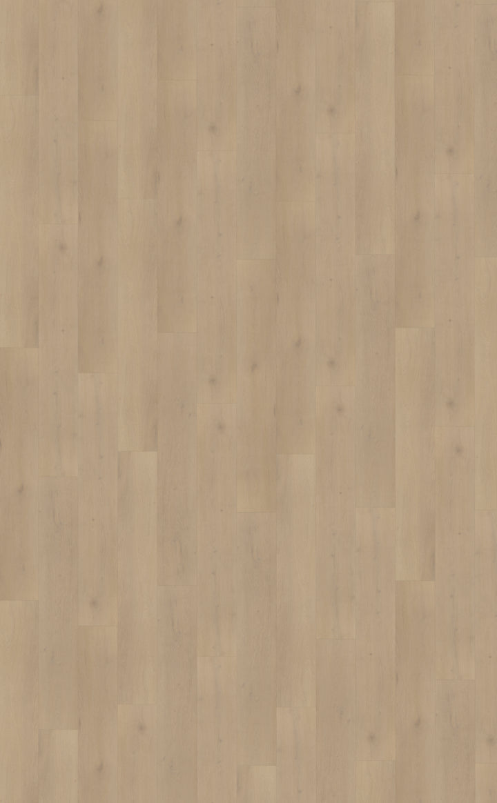 Palazzo 770 DRYBACK