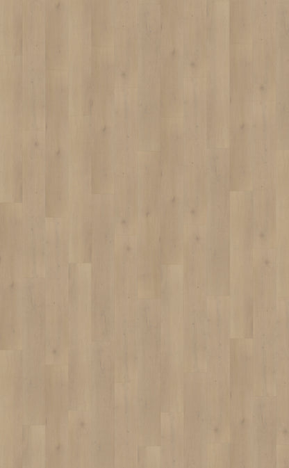 Palazzo 770 DRYBACK