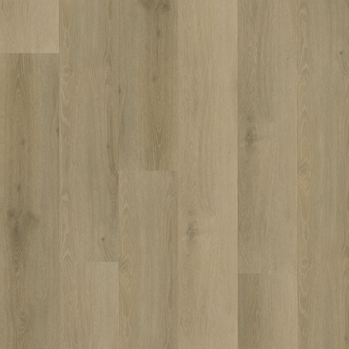 Rustico 20 DRYBACK