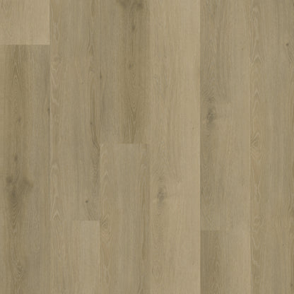 Rustico 20 DRYBACK