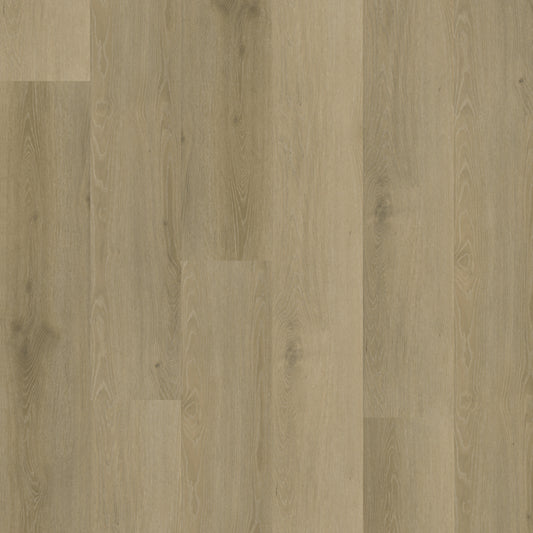 Rustico 20 DRYBACK