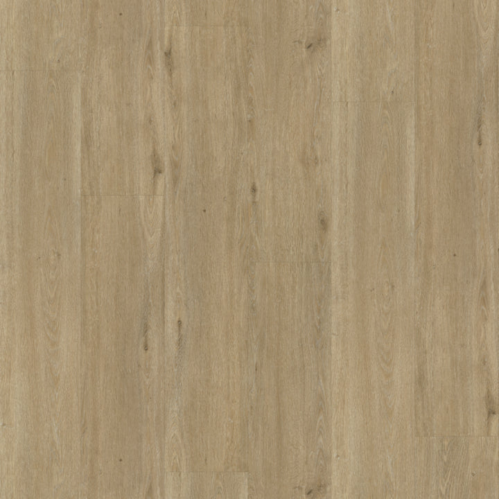 Rustico 50 DRYBACK