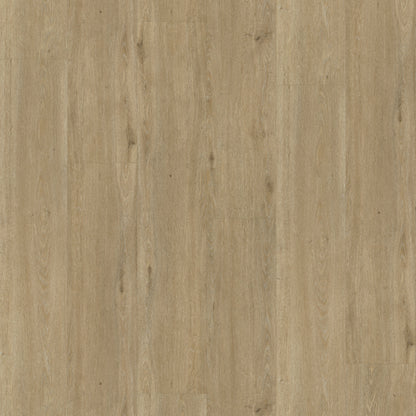 Rustico 50 DRYBACK