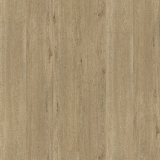 Rustico 50 DRYBACK