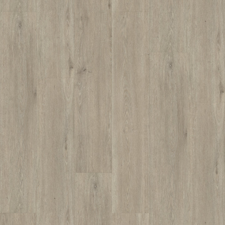 Rustico 60 DRYBACK