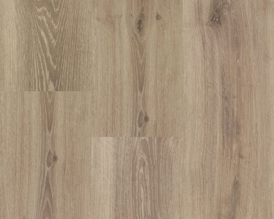 Chamonix XL Plank 54813 DRYBACK