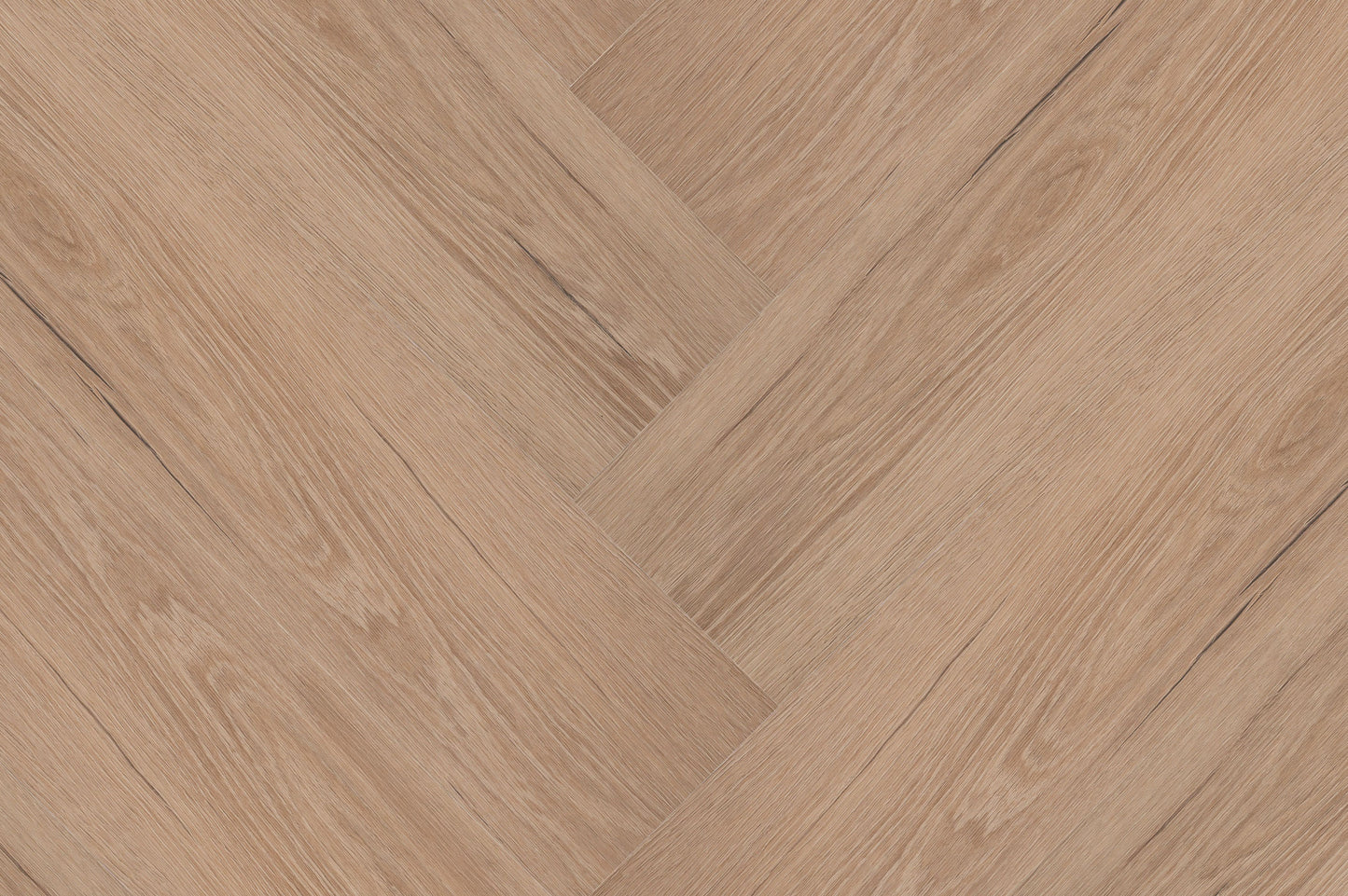 Château Visgraat XL 77850 DRYBACK