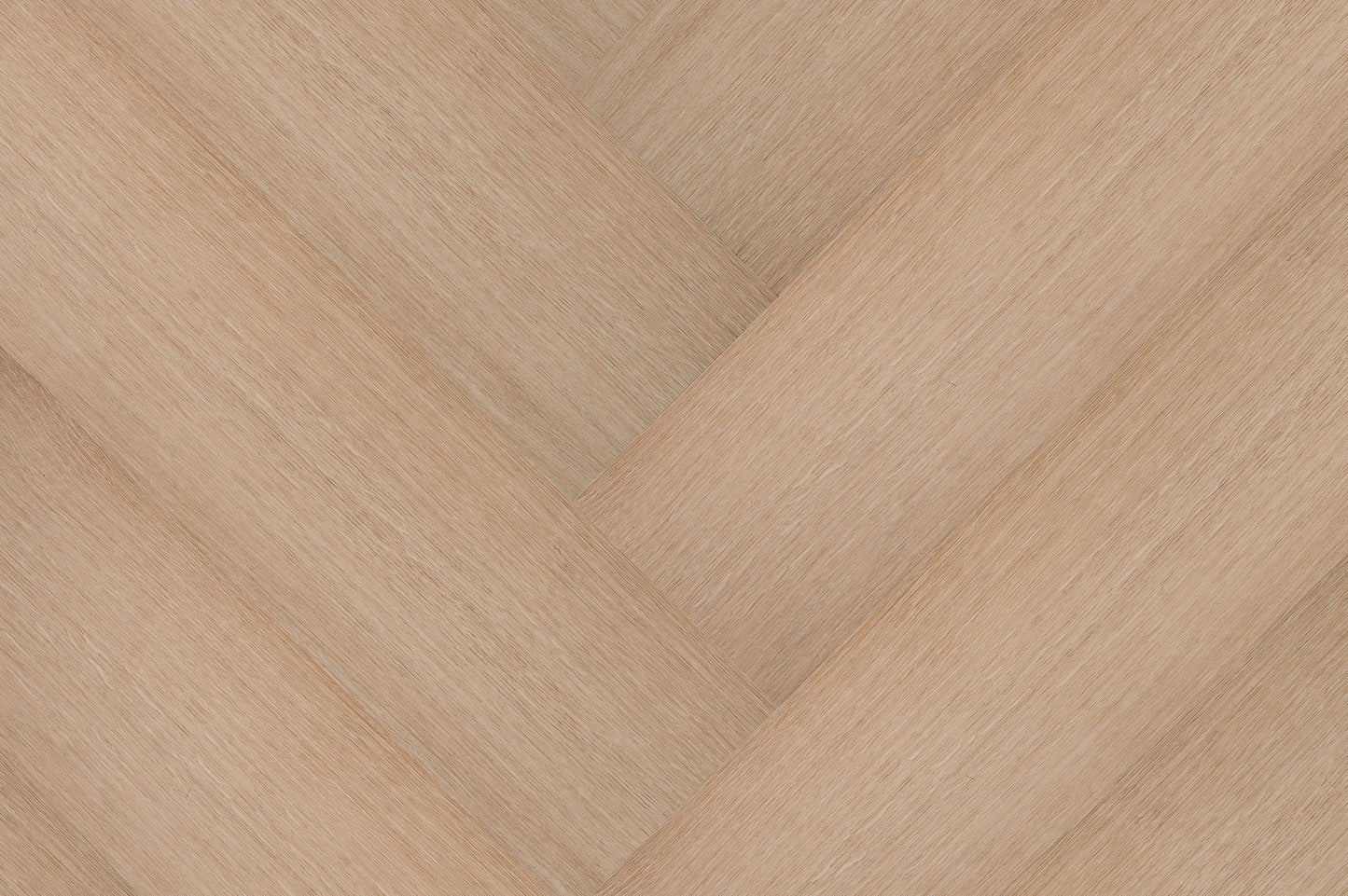 Château Visgraat XL 77853 DRYBACK