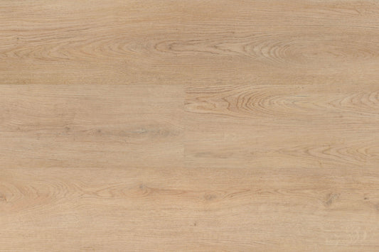 Chablis XL Plank 54858 DRYBACK