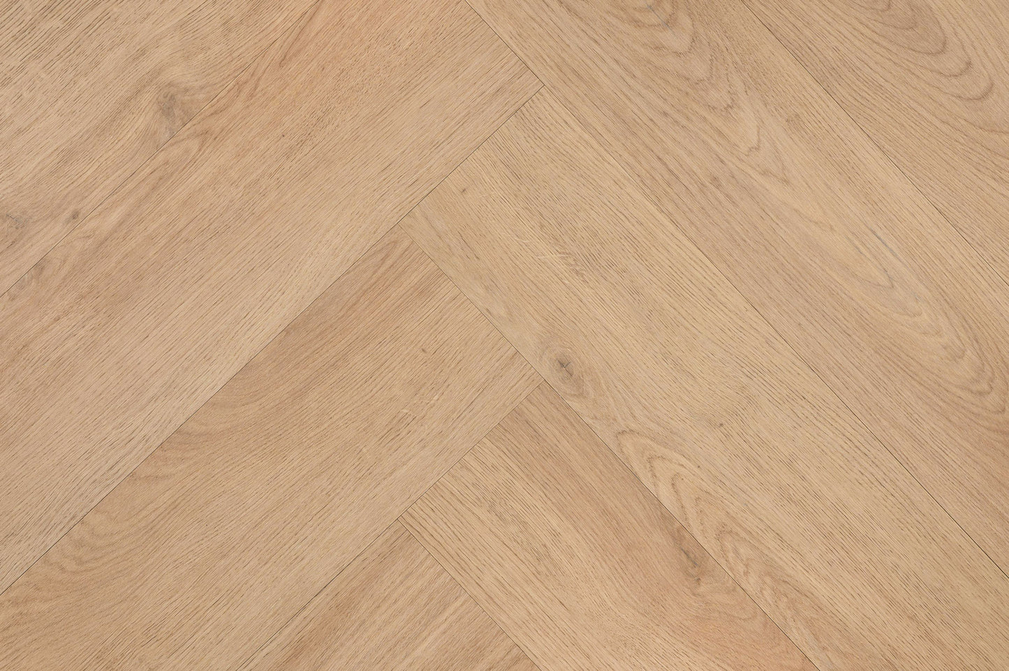 Chablis Visgraat XL 57859 CLICK