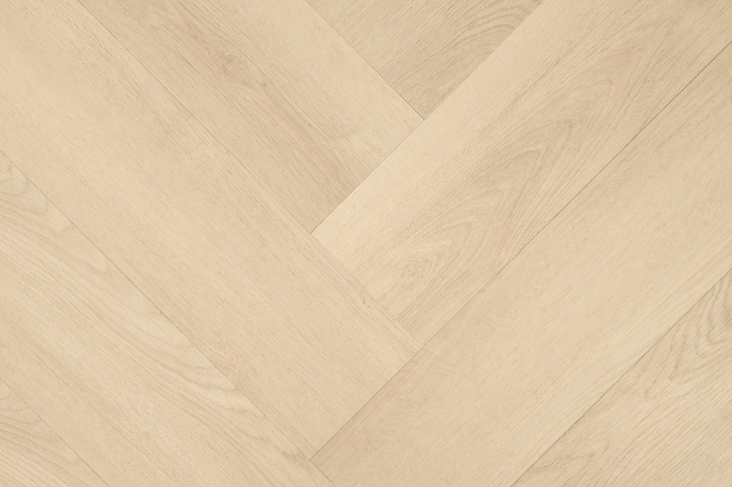 Clermont Visgraat XL 77821 DRYBACK