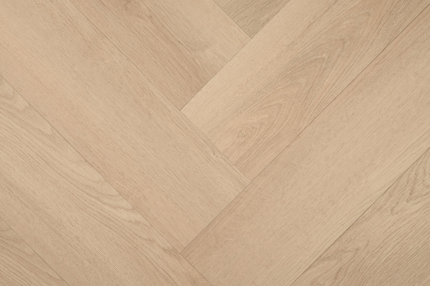 Clermont Visgraat XL 57822 CLICK