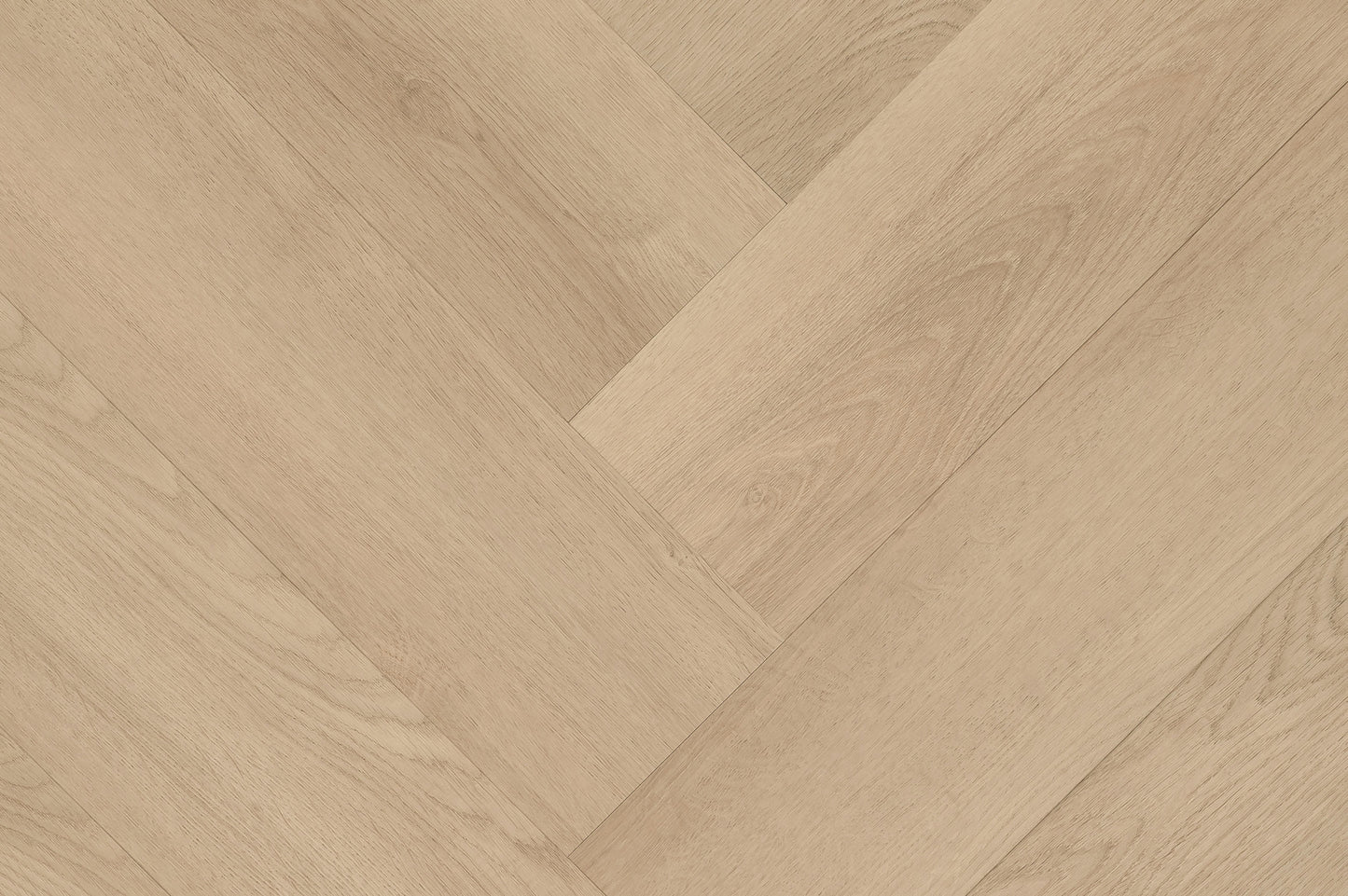Clermont Visgraat XL 57825 CLICK