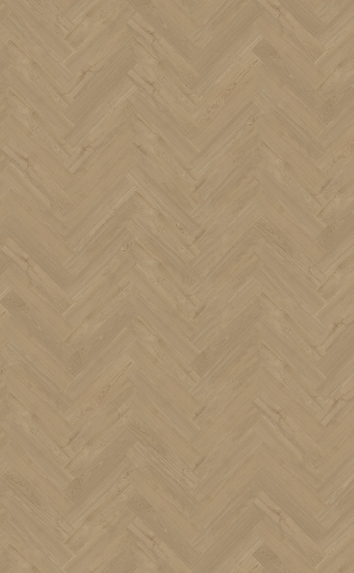 Portico visgraat XL 54 DRYBACK