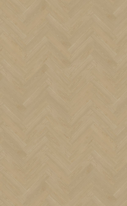 Portico visgraat XL 55 DRYBACK