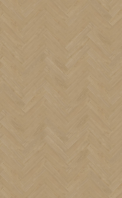 Portico visgraat XL 56 DRYBACK