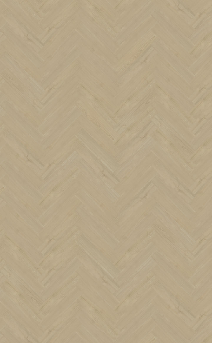Portico visgraat XL 57 DRYBACK