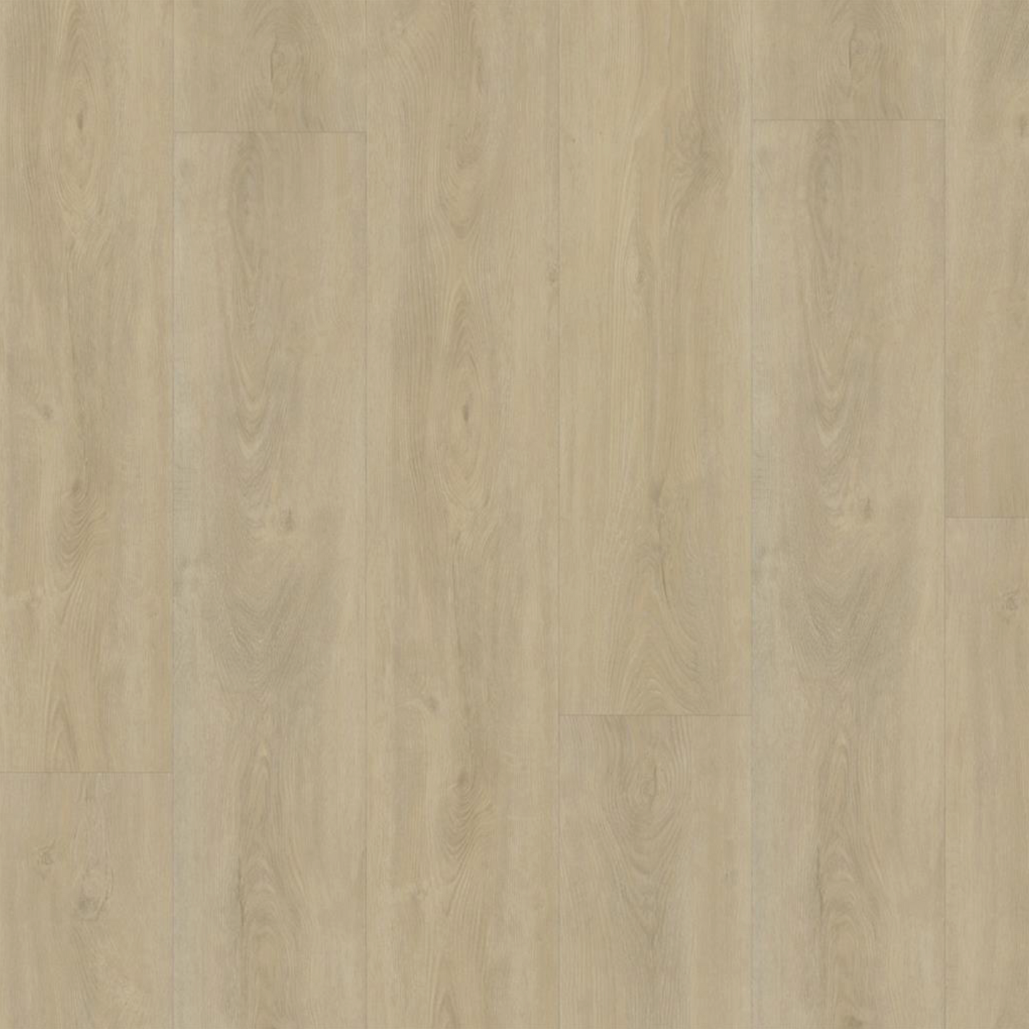 Parramatta  DRYBACK LIGHT NATURAL 1558
