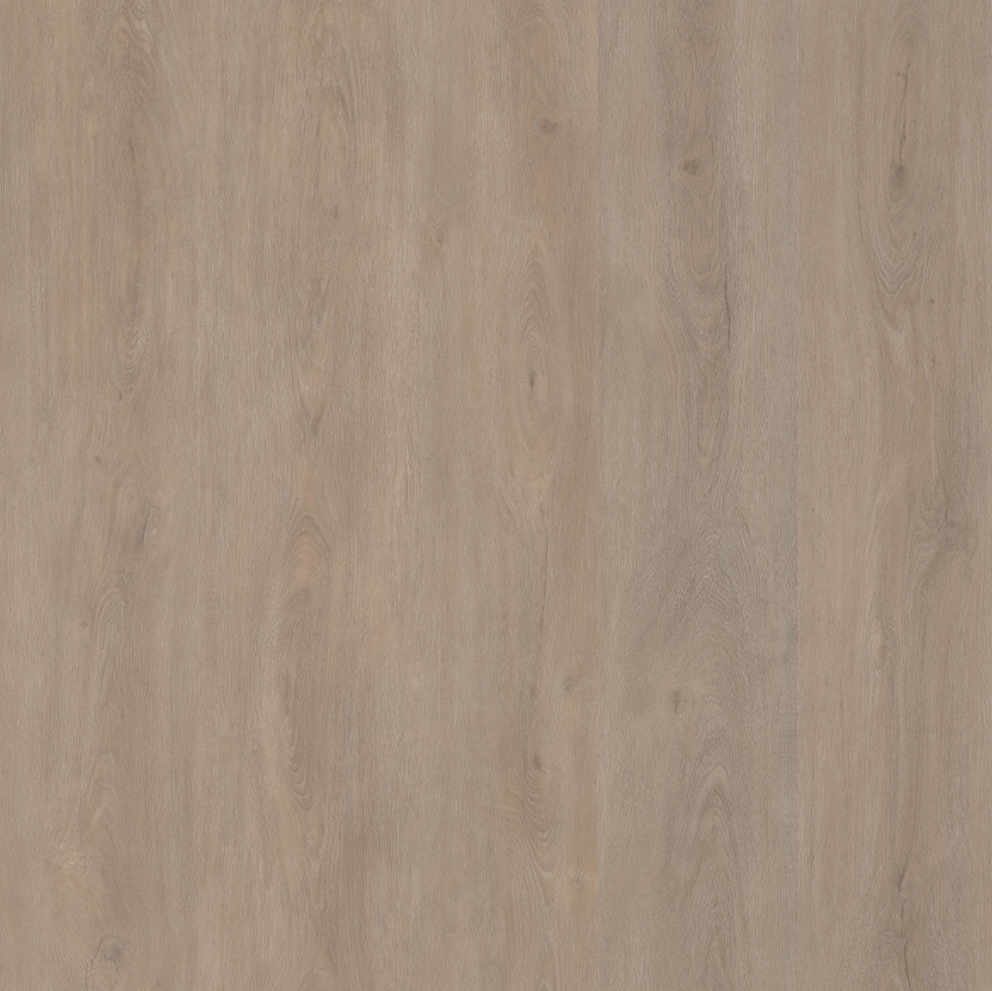 Parramatta  DRYBACK LIGHT OAK 1556