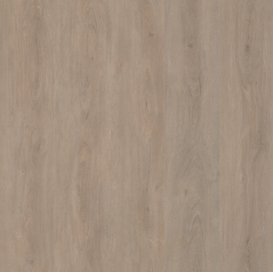Parramatta  DRYBACK LIGHT OAK 1556