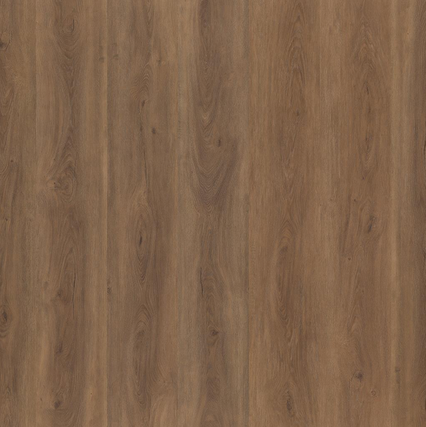 Parramatta  DRYBACK WARM BROWN 1532