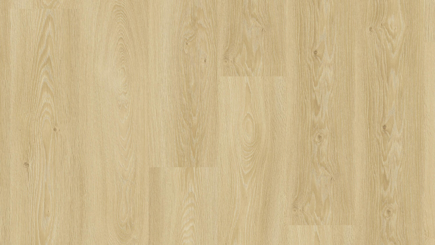 Essence - Essence 30 - Cool Oak Classical DRYBACK