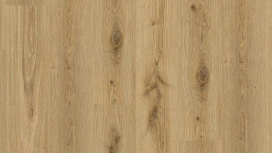 Essence - Essence 55 - Primary Oak Natural DRYBACK