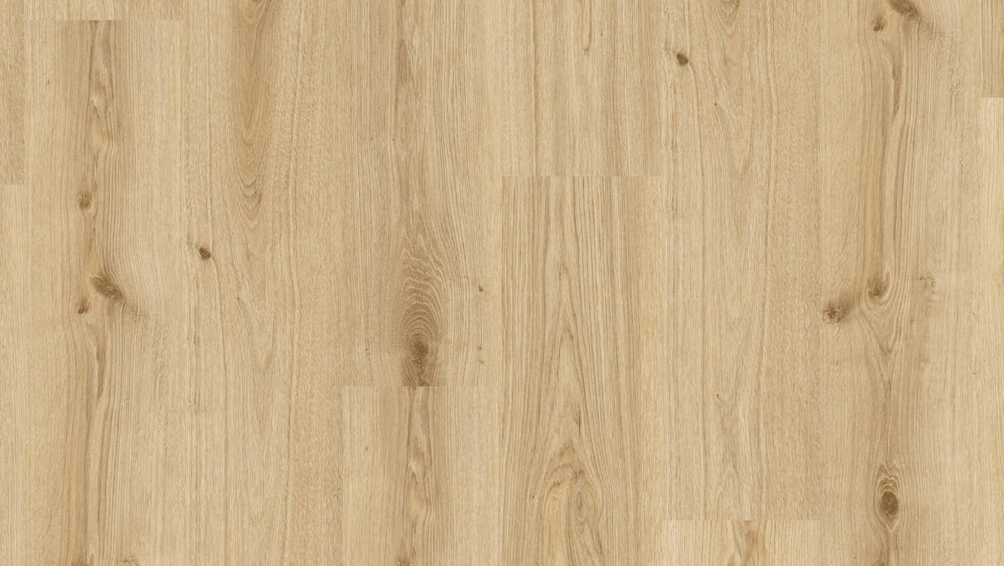 Essence Rigid 30 - Essence Rigid 30-Primary Oak-Lt Brown CLICK