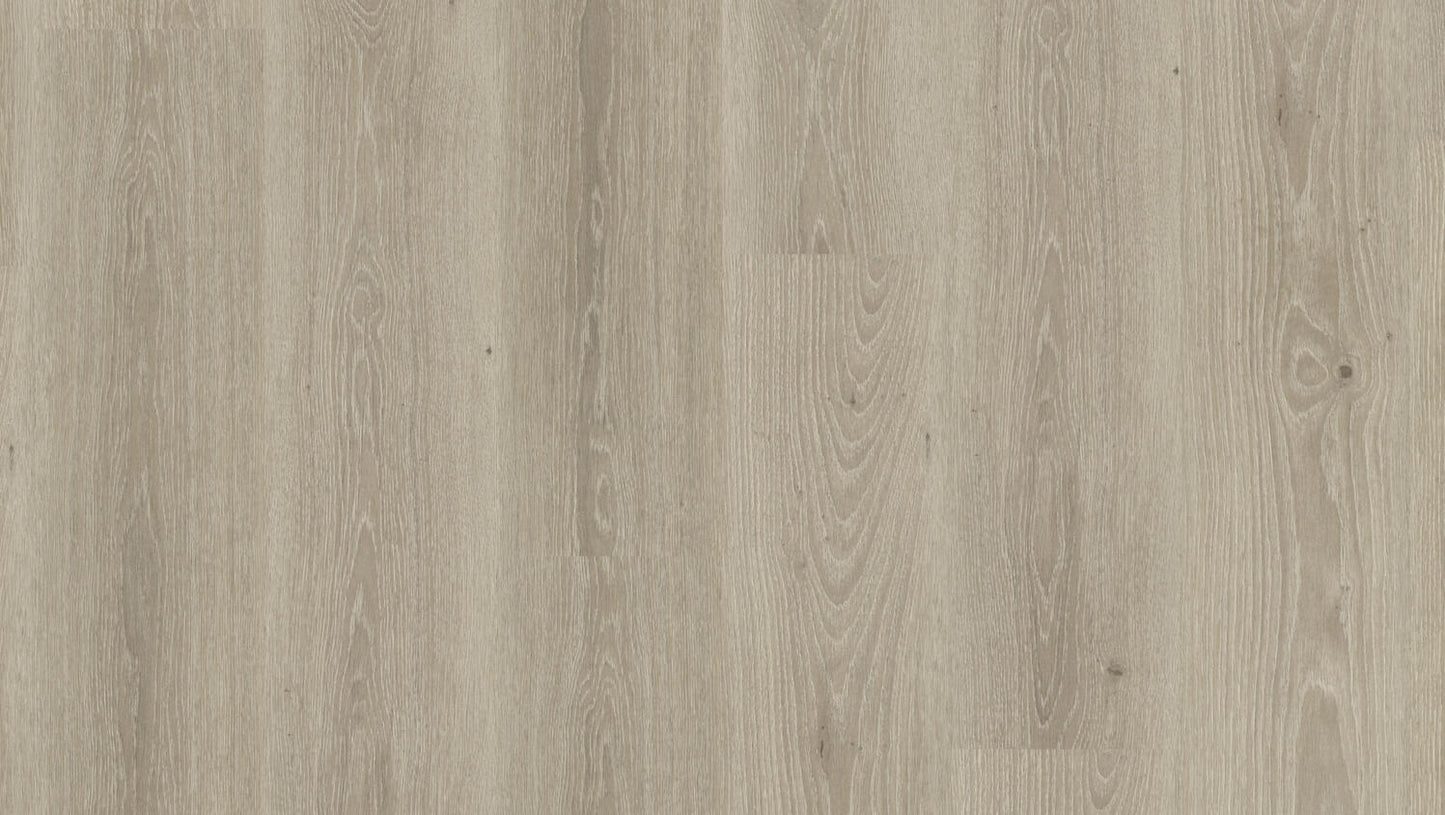 Essence - Essence 55 - Tribe Oak Grey DRYBACK