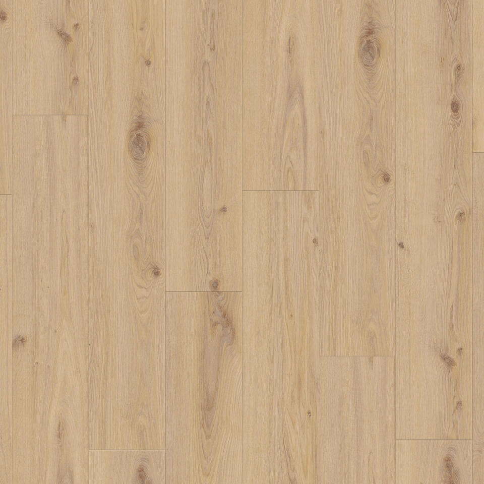 iD Inspiration 55 - Delicate Oak ALMOND DRYBACK