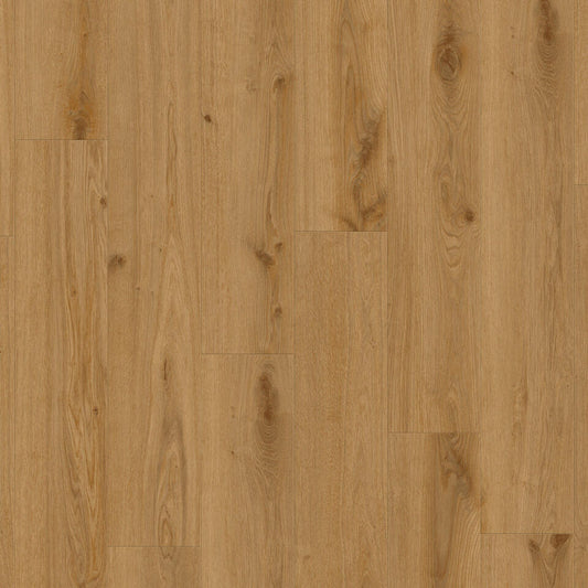 iD Inspiration 55 - Delicate Oak TOFEE DRYBACK