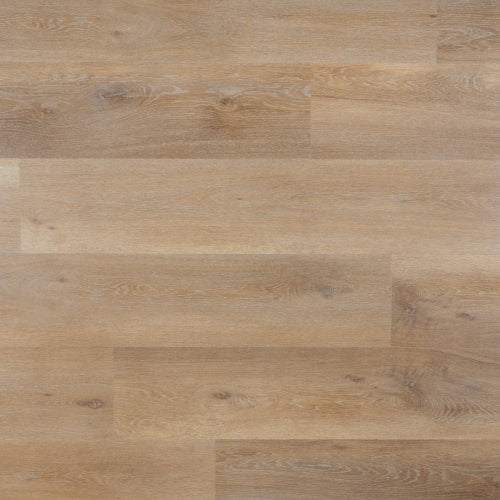 Lily Plank 95068 CLICK